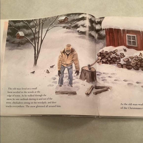 🤑”Winter’s Gift” book by Jane Monroe Donovan - Picture 3 of 11